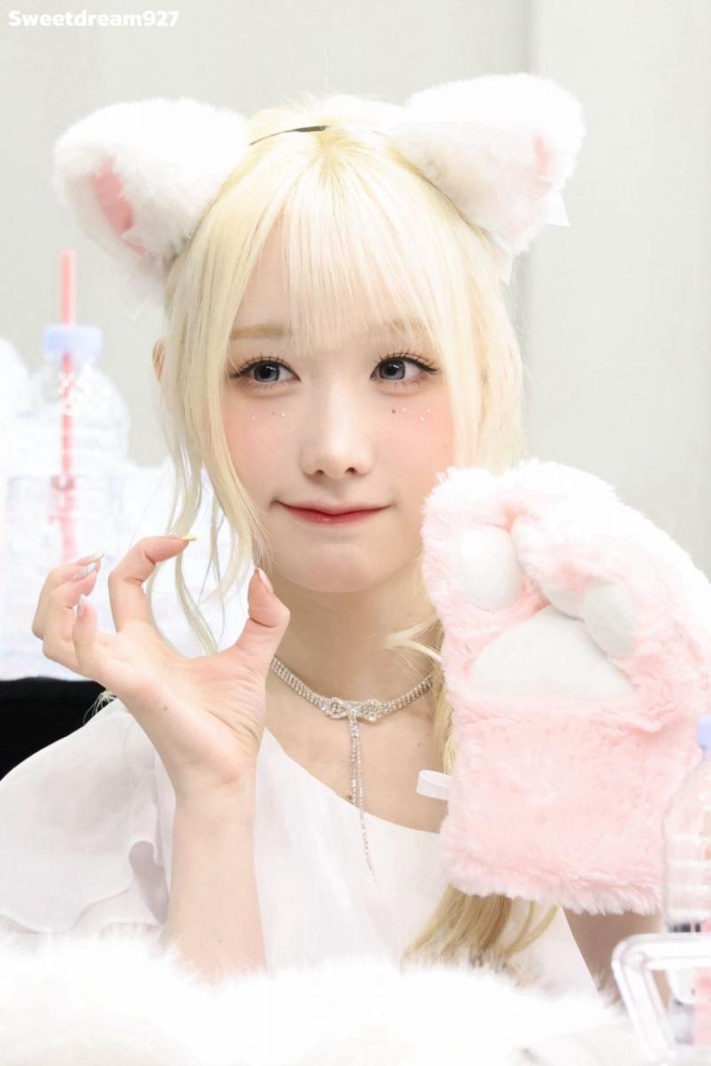 세이마이네임 메이