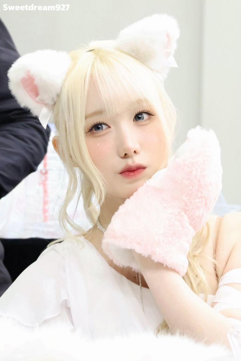 세이마이네임 메이