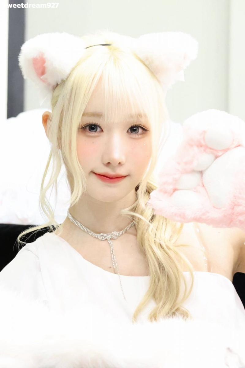 세이마이네임 메이