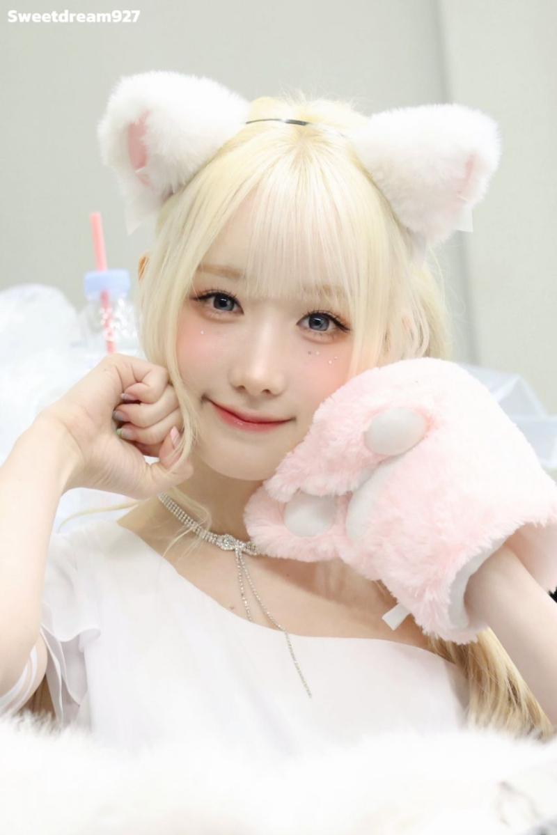 세이마이네임 메이