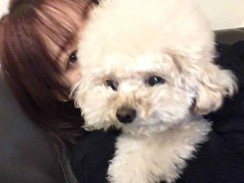 하츠투하츠 지우
