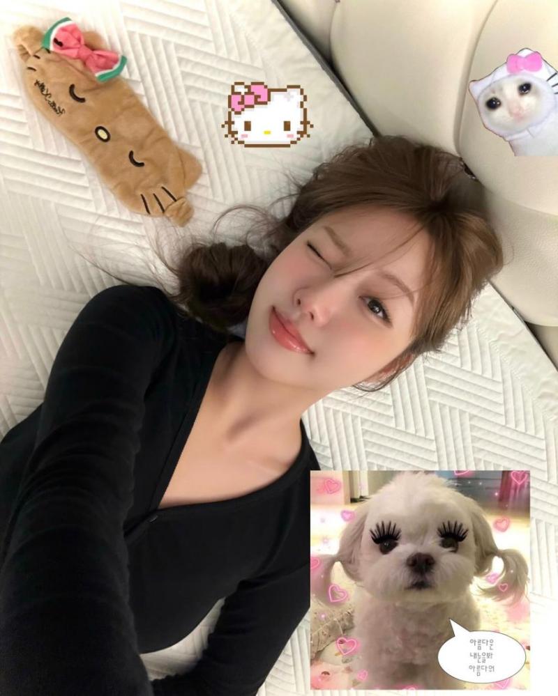 앨리스 가린