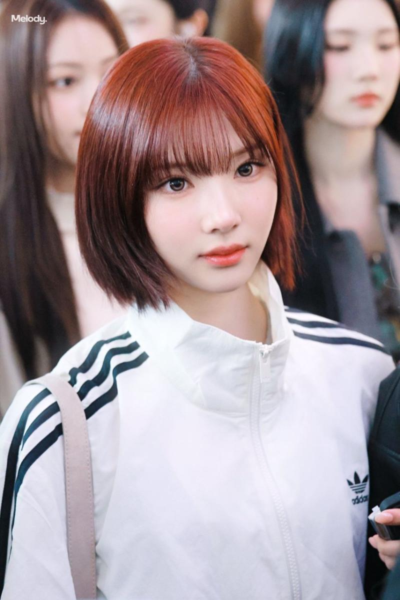 하츠투하츠 지우