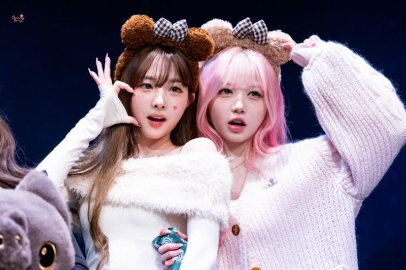 트리플에스 정하연 김채연