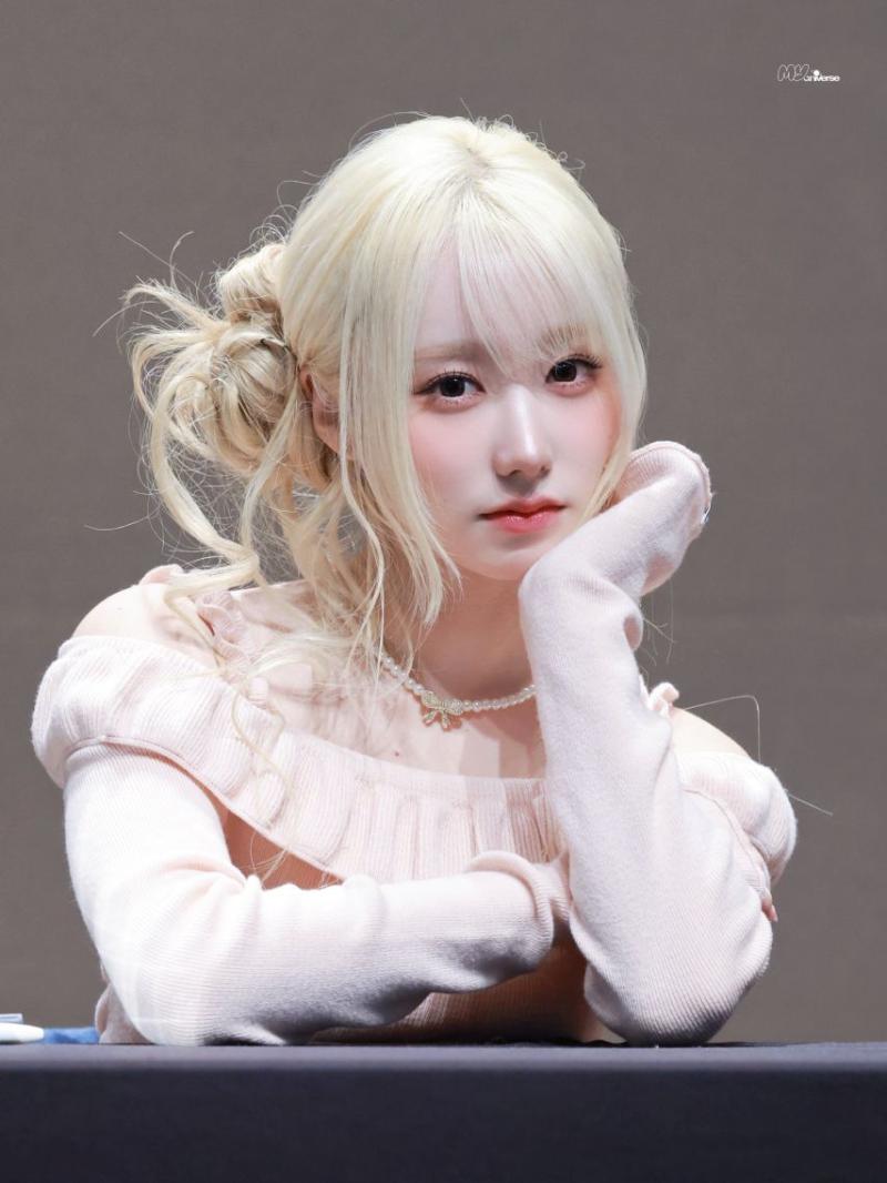 세이마이네임 메이