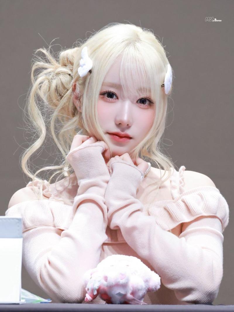 세이마이네임 메이