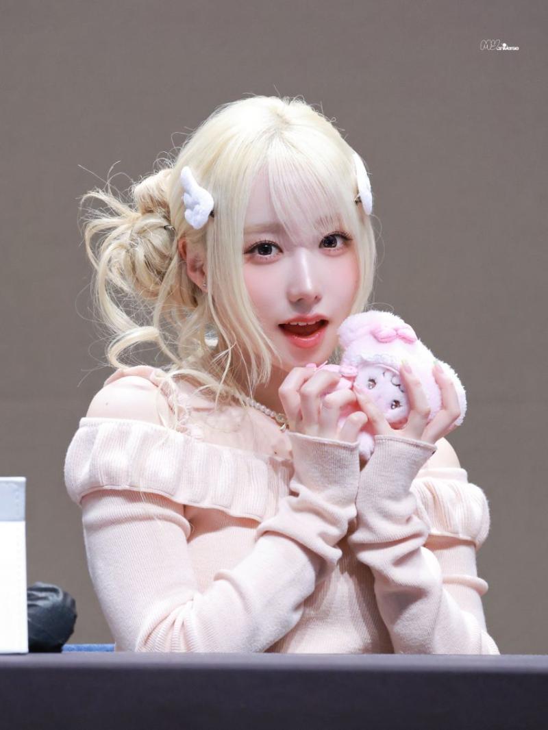 세이마이네임 메이