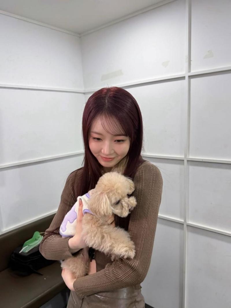 LIGHTSUM (라잇썸) 주현