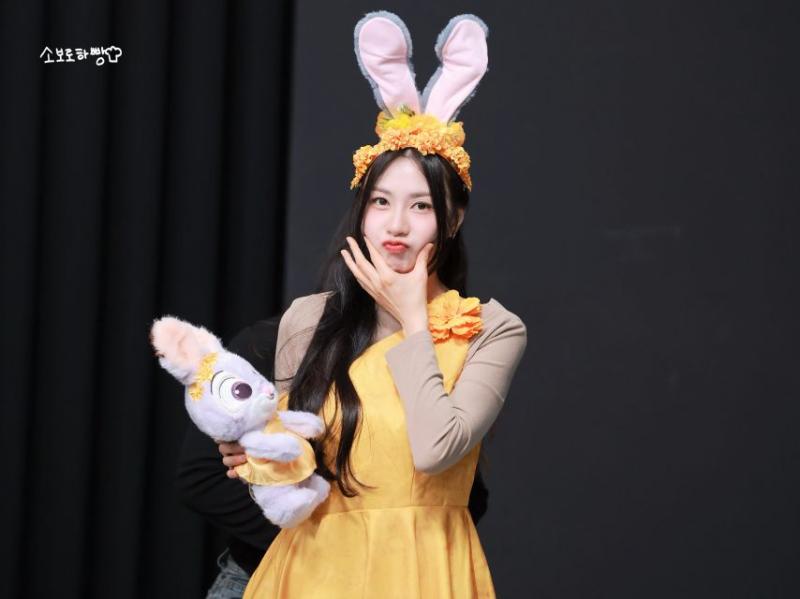 에이핑크 오하영