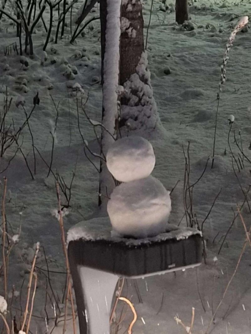르세라핌 사쿠라,홍은채