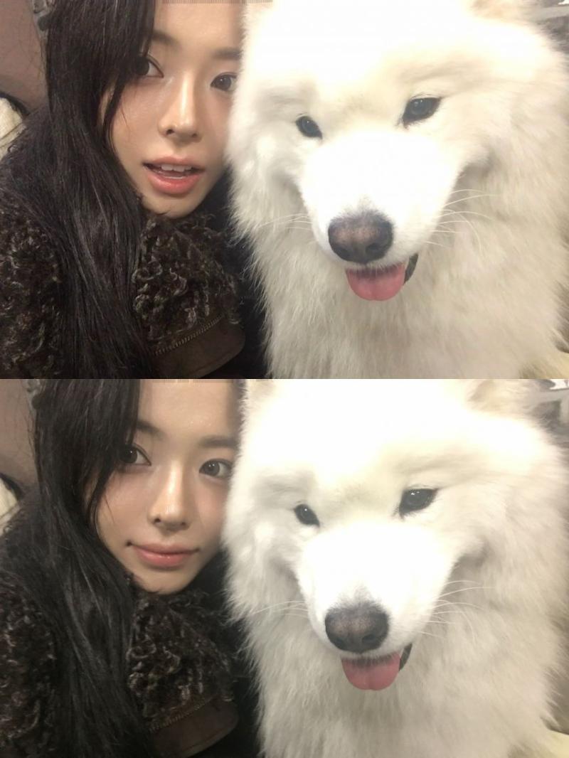 세이마이네임 슈이
