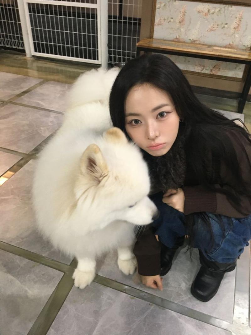 세이마이네임 슈이