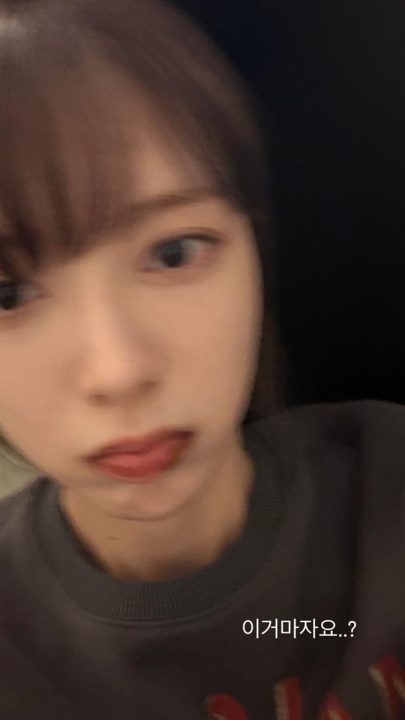 노정의