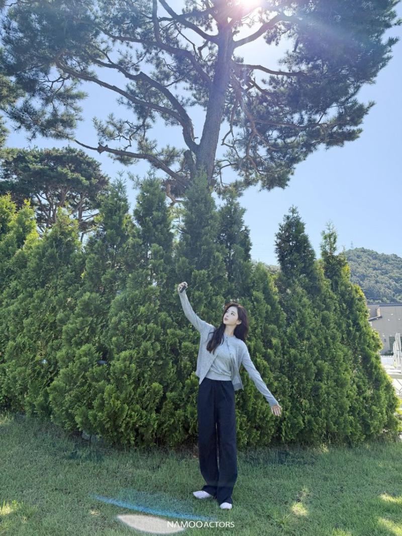 노정의
