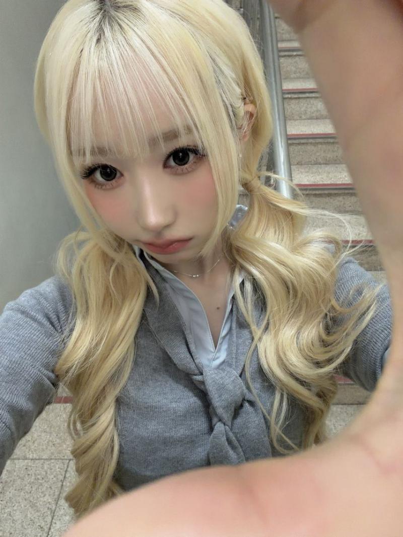 세이마이네임 메이