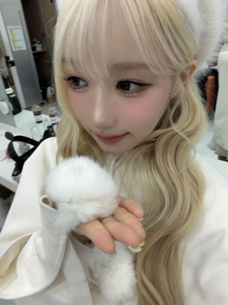 세이마이네임 메이