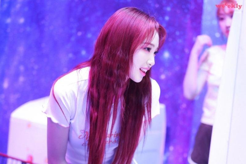 위클리 조아