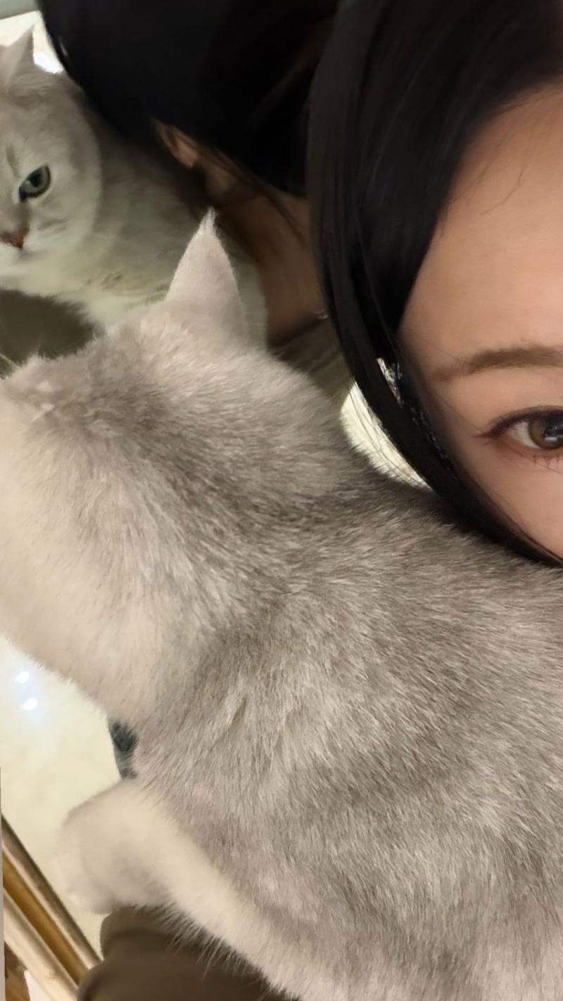 헤이즈
