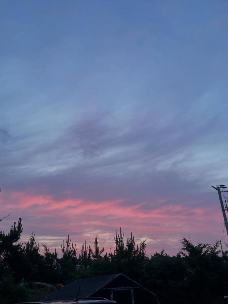 이주빈 인별