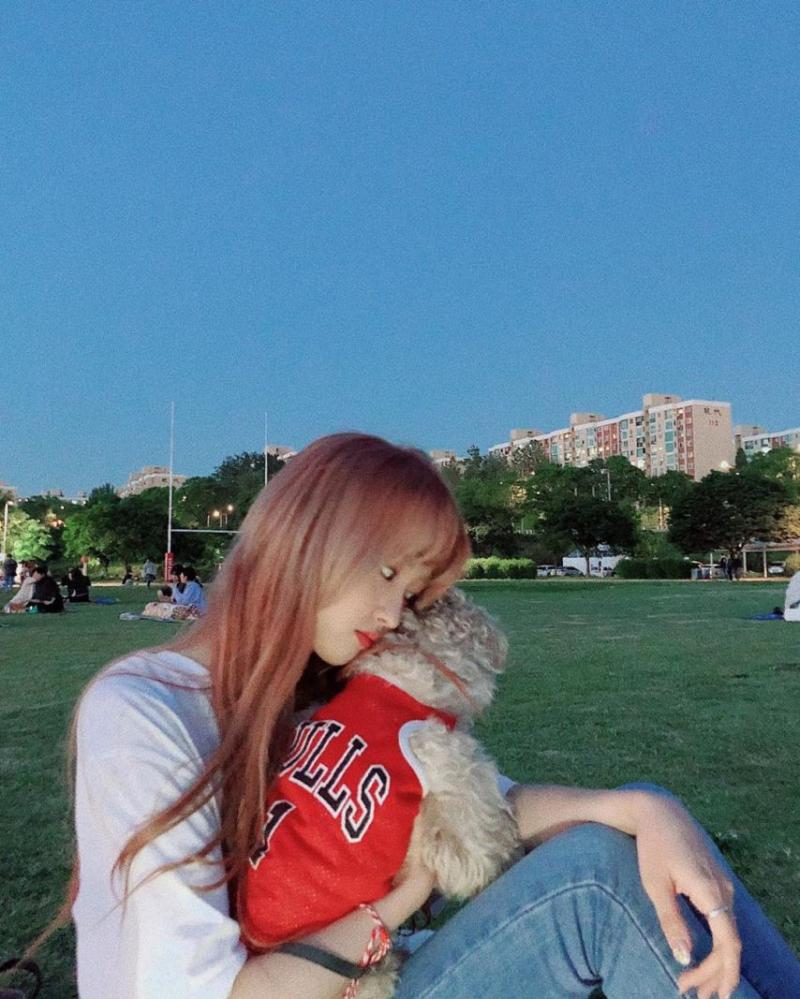 앤씨아