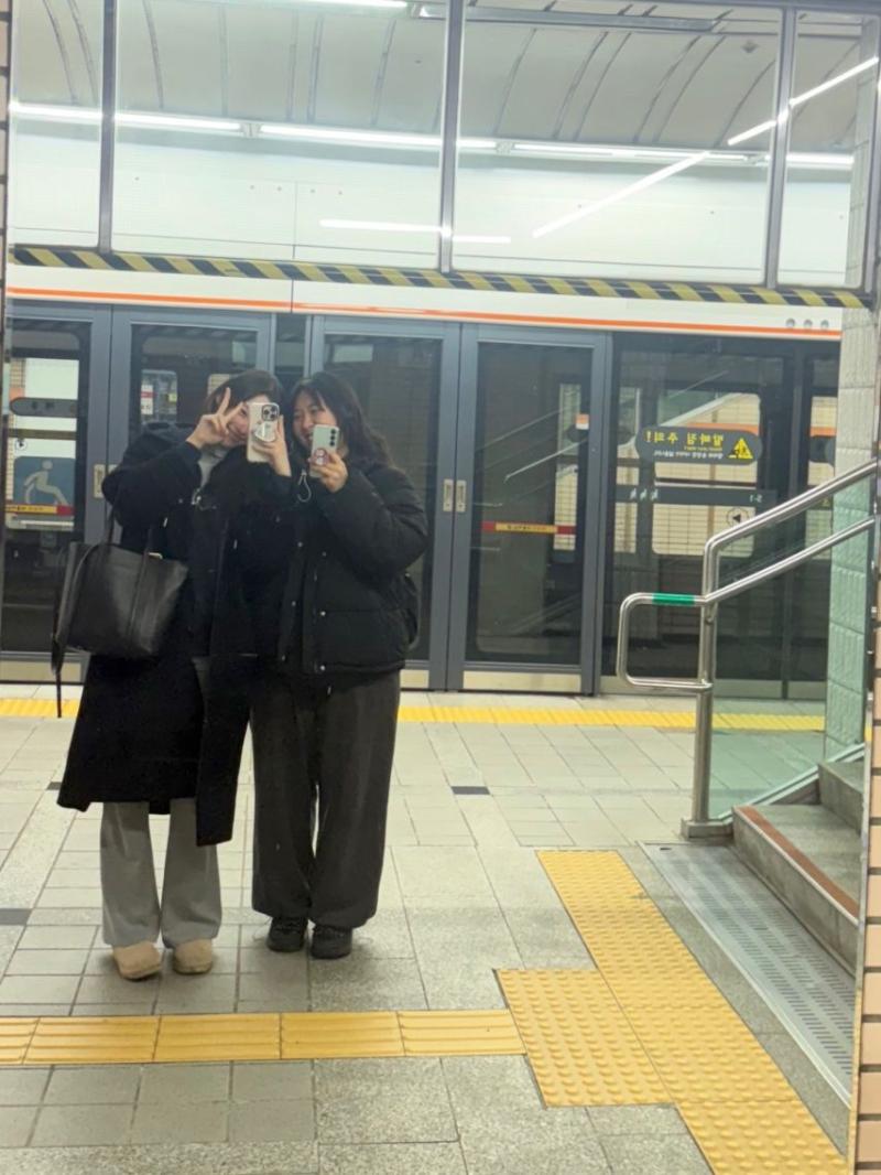 시그니처 채솔