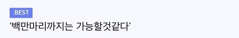 세스코가 밝히는 바선생 루머