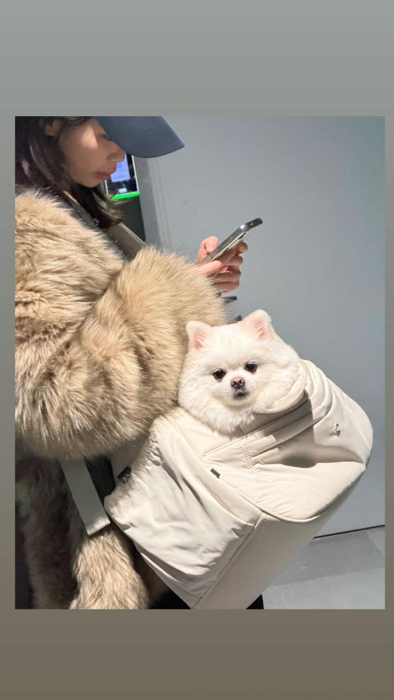 르세라핌 김채원