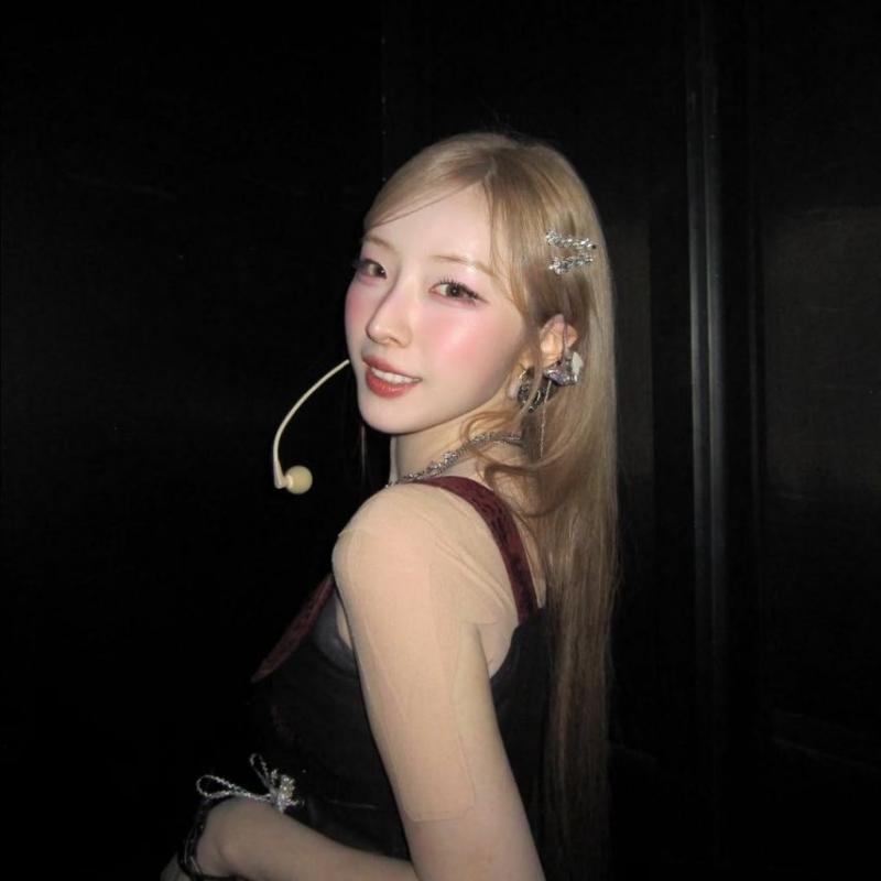 ARTMS (아르테미스) 하슬