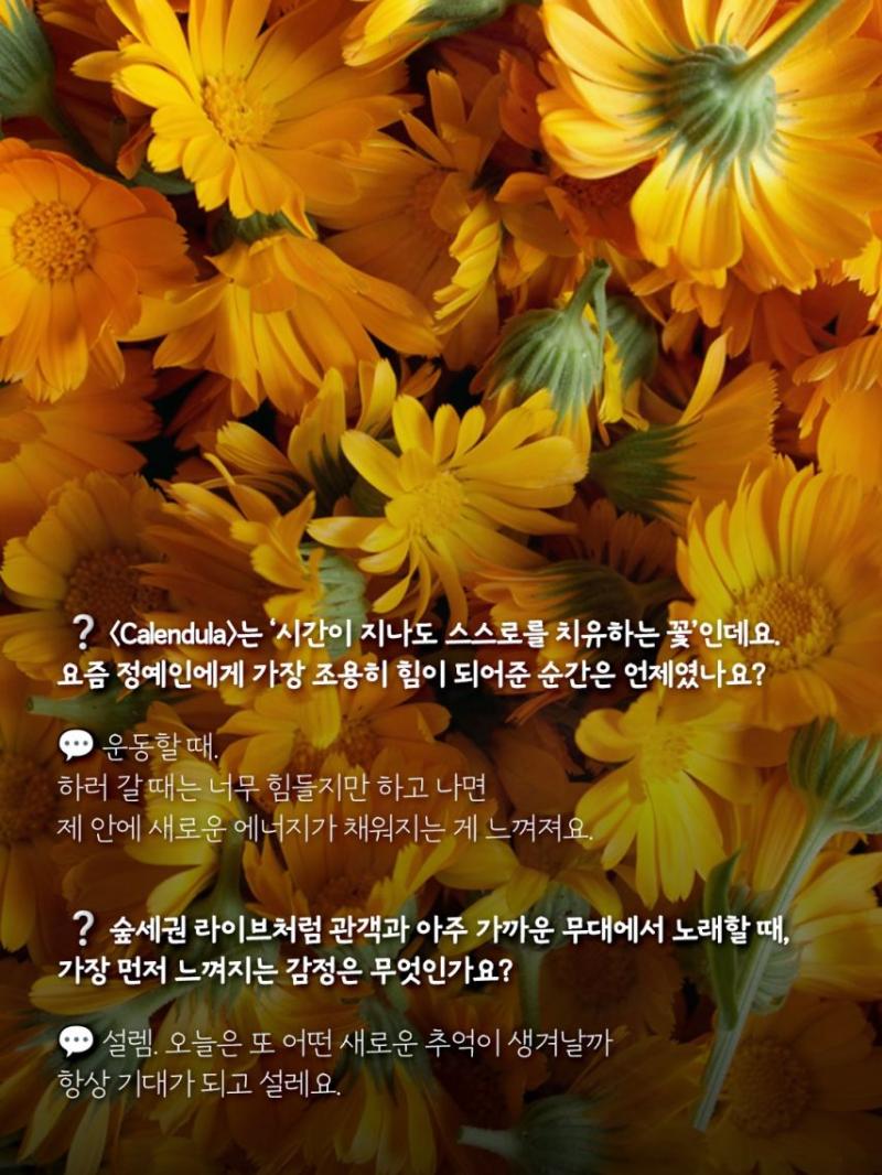 정예인 러블리즈 인별 등