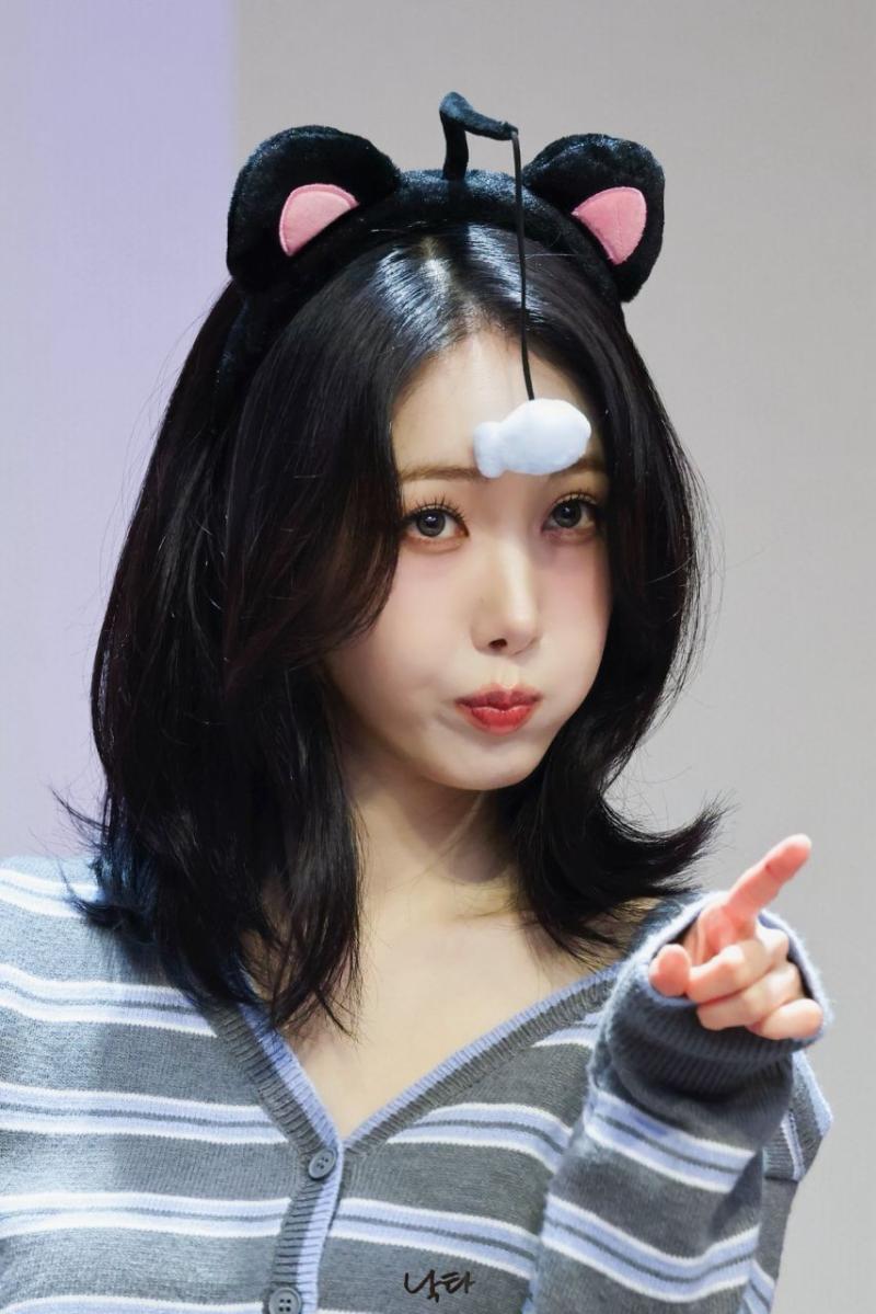 비비지 신비