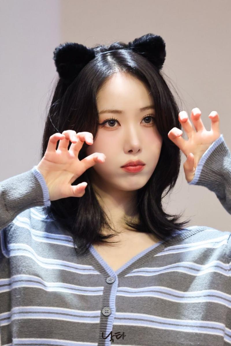 비비지 신비