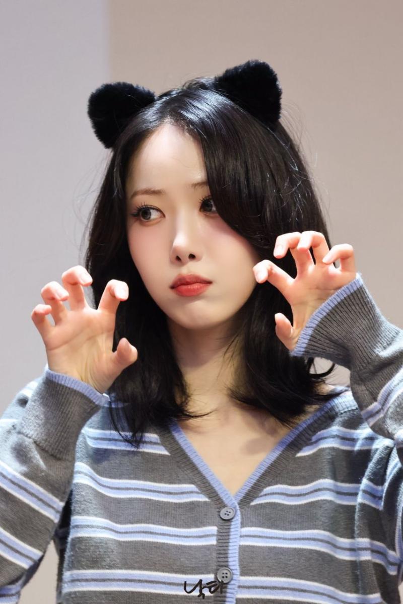 비비지 신비