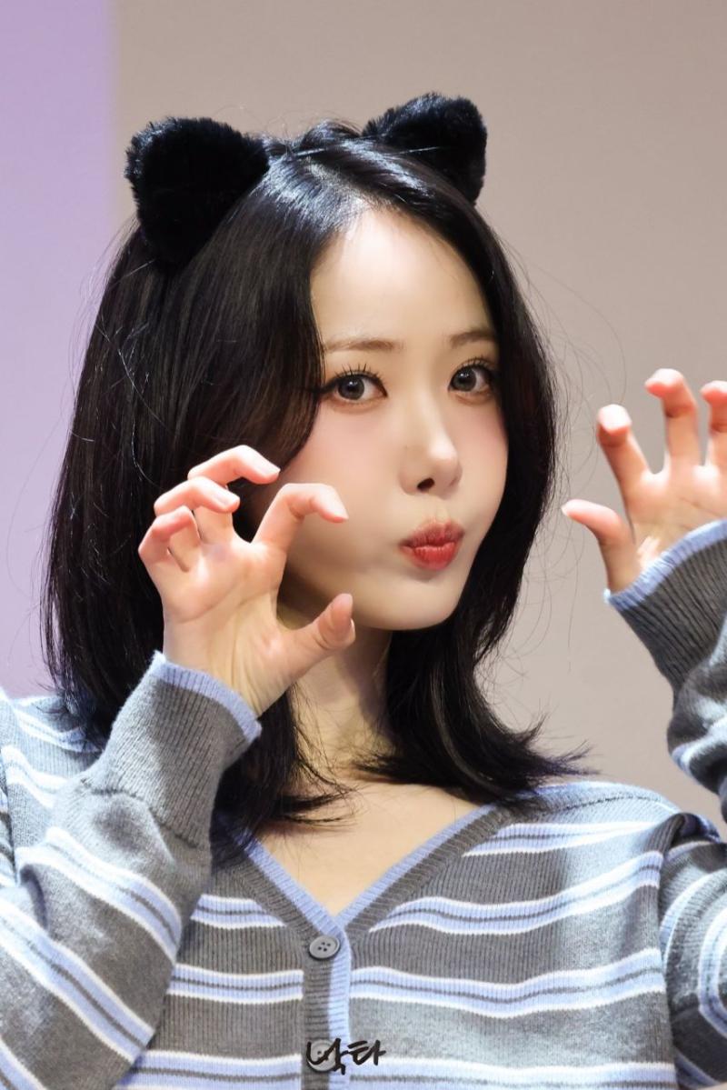 비비지 신비