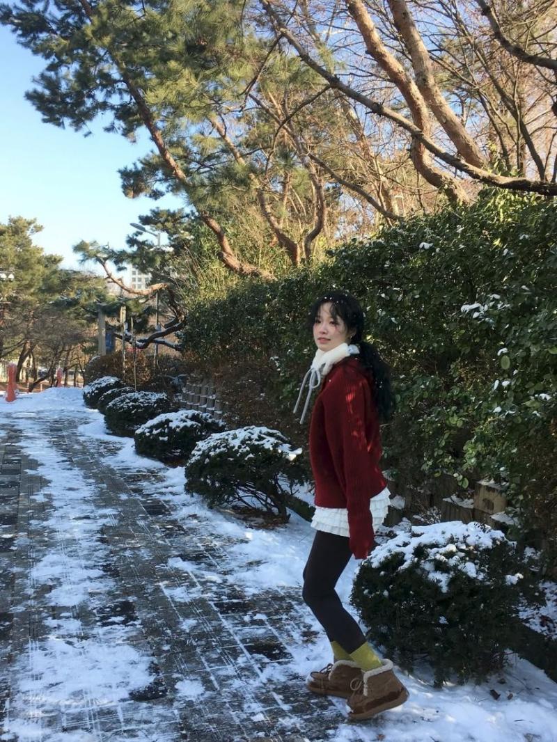 정보민