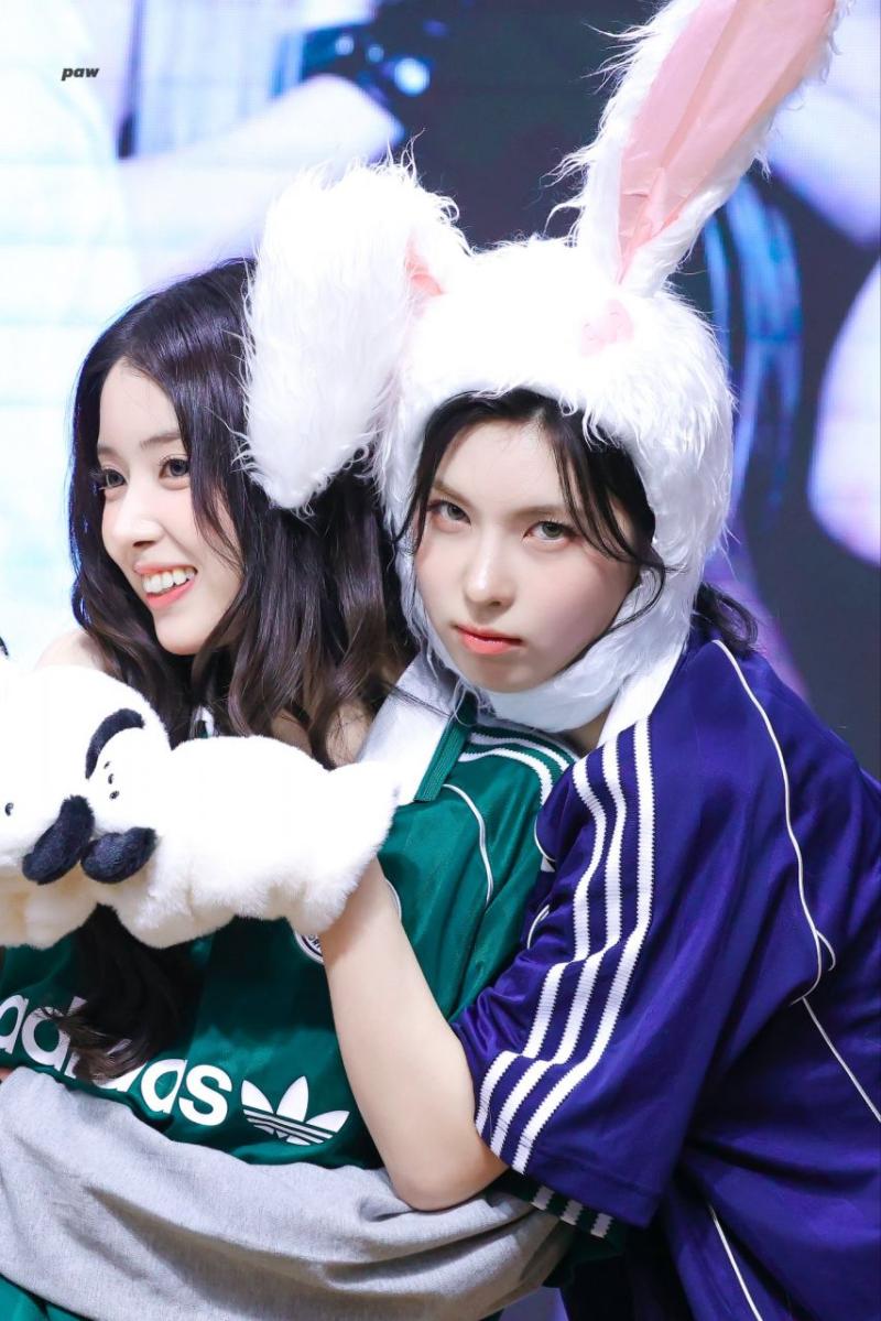 엔믹스 배이