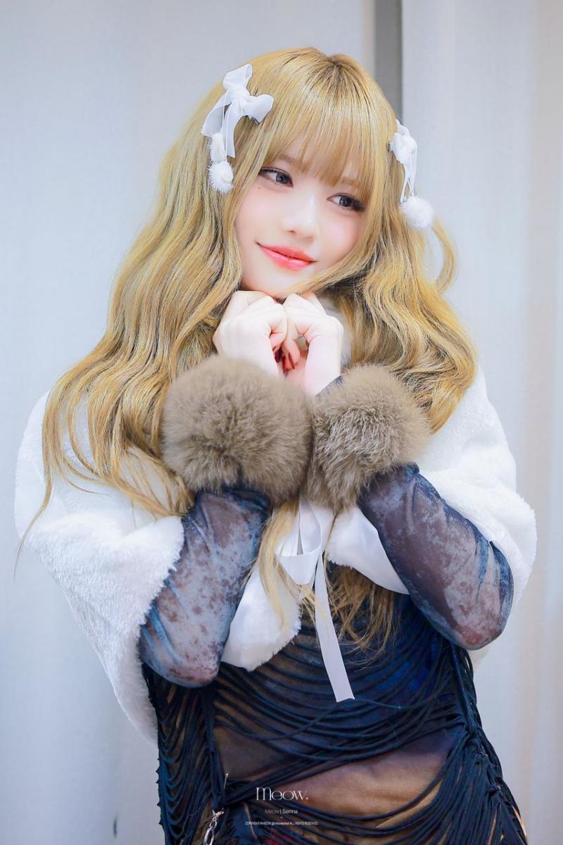 메이딘 세리나