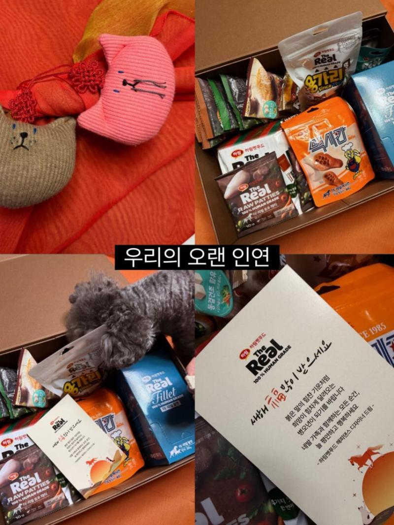 장예원 아나운서