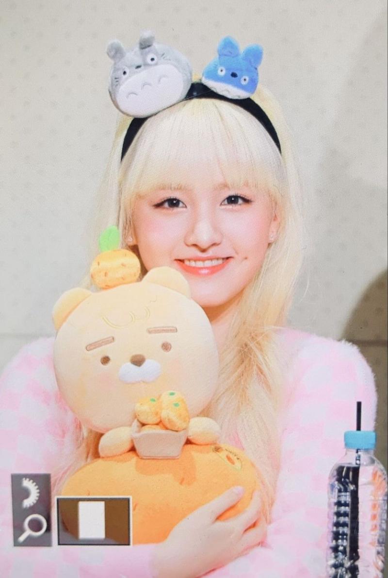 아이브 리즈