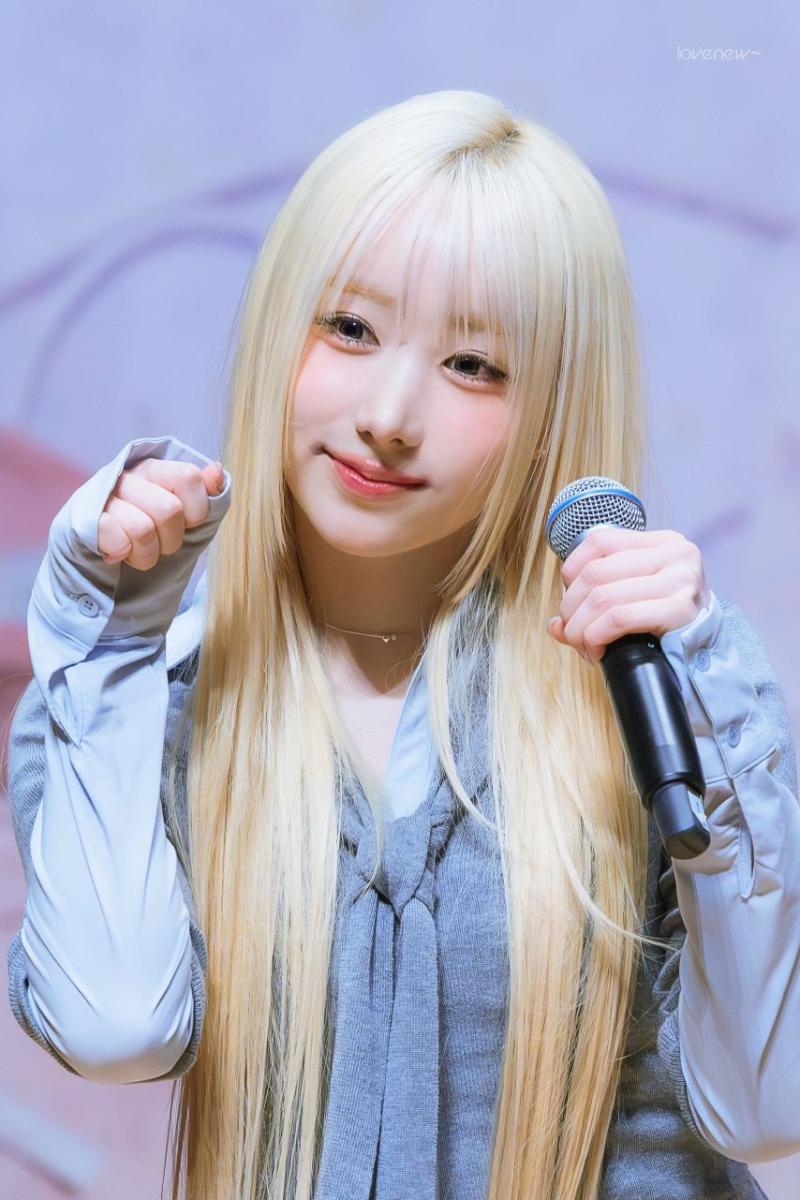 세이마이네임 메이