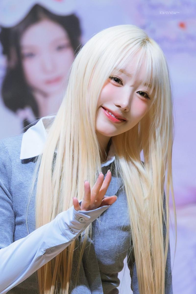세이마이네임 메이