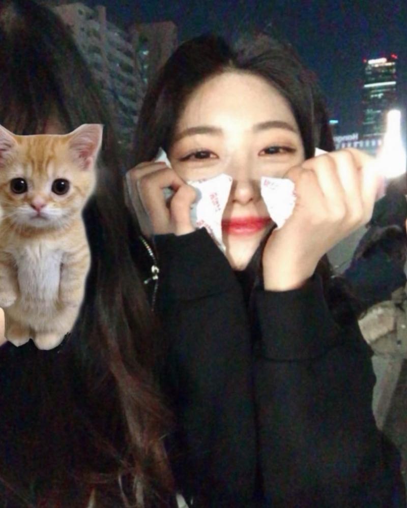에버글로우 시현