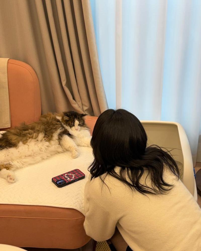 남지현 인별