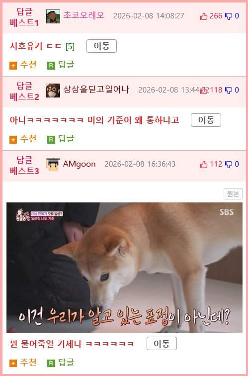 잘생긴 남자를 보면 실실웃고 오줌싸는 시바견