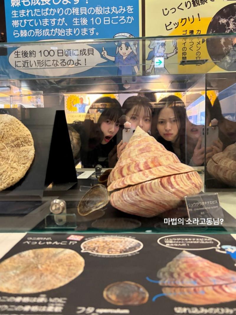 에스파 카리나