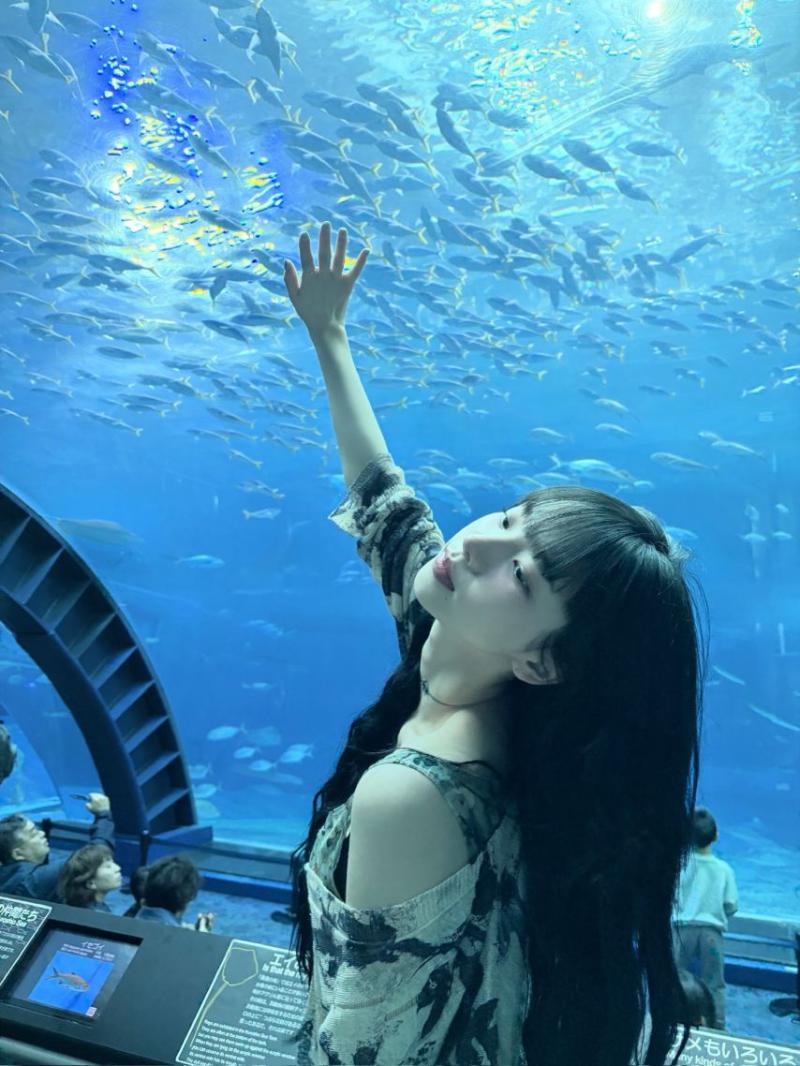 에스파 카리나