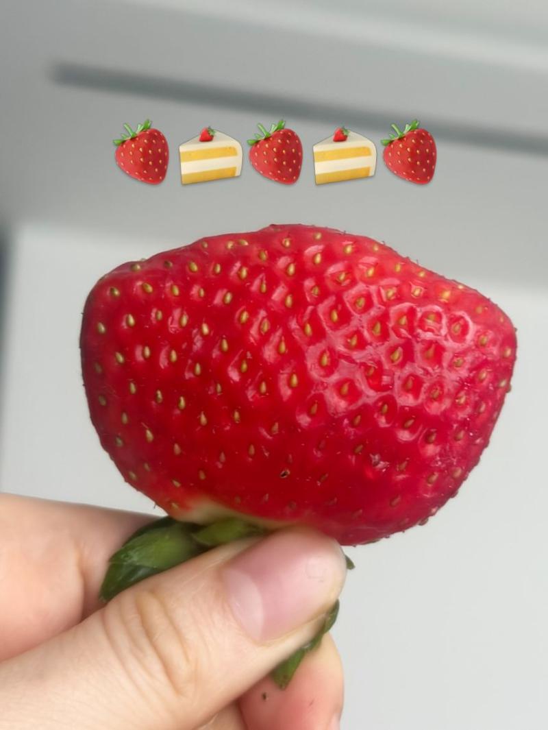 엄지 VIVIZ비비지 인별