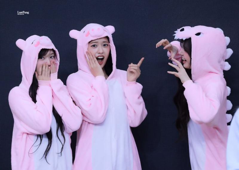 아이브