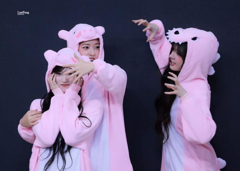 아이브