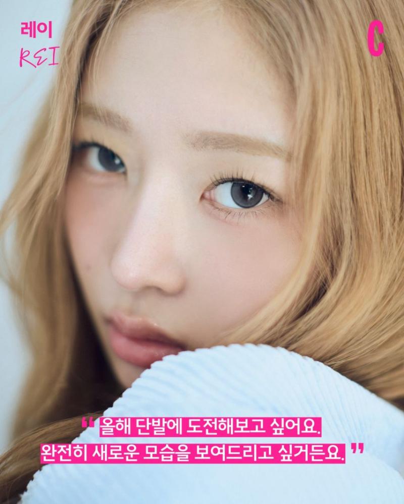 아이브 레이 코스모폴리탄