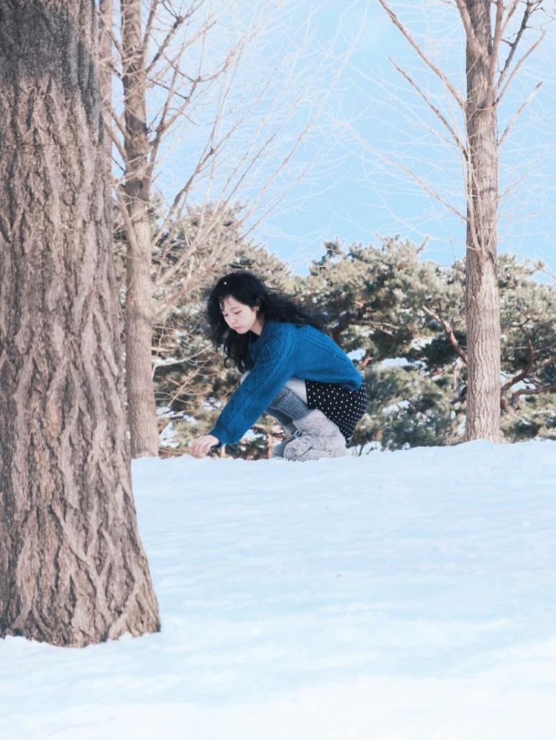 정보민